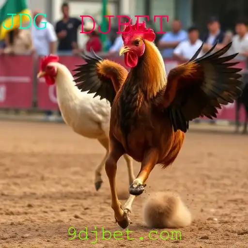 Rinha de Galos: Um Olhar Apropriado sobre a Controvérsia e o Papel do DJBET